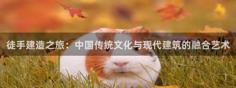 NG体育资讯官网入口