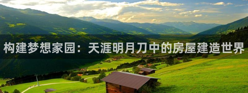 NG体育情报