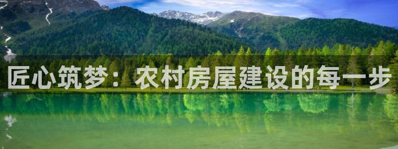 NG体育赛